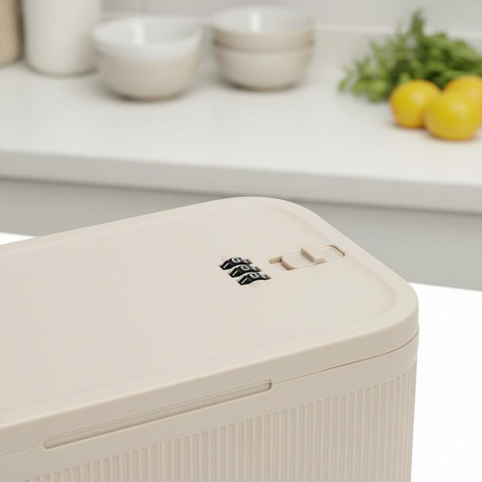 Контейнер с кодовым замком, ус – обзор и цена Food Storage Lock Box